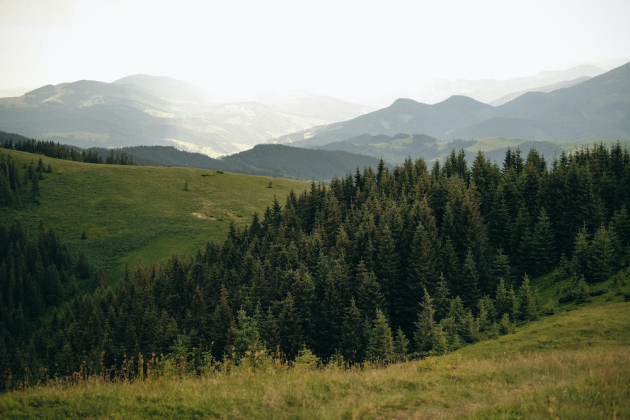 nature